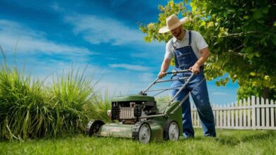 Mexican Lawnmowers: